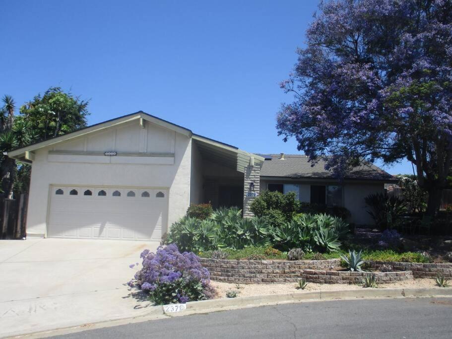 Custom Home - Beach Close/Convenient To Everything Οσιανσάιντ Εξωτερικό φωτογραφία